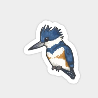 Belted Kingfisher Sticker